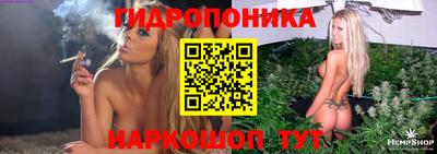 прущая мука Кингисепп