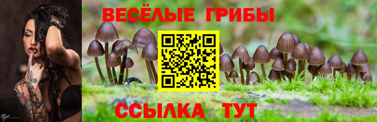 наркошоп  Галлюциногенные грибы Magic Shrooms  Вход с VPN  Лесозаводск 