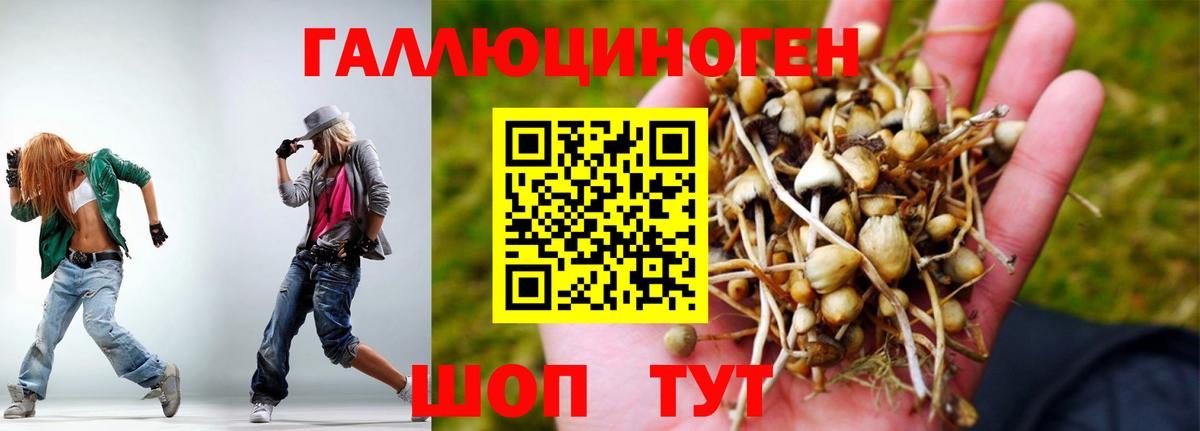 КЕТАМИН Лесозаводск